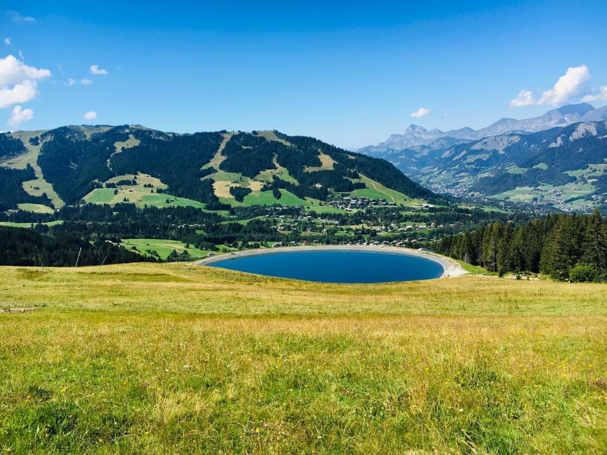 Apartamento Fleur Des Montagnes Praz-sur-Arly Exterior foto